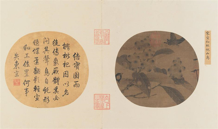 图像 图像